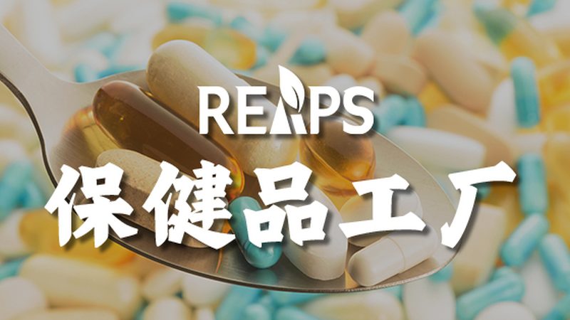 乳清蛋白粉买哪种好
